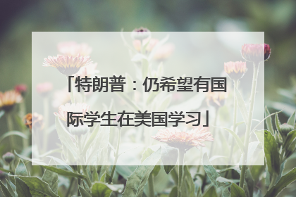 特朗普：仍希望有国际学生在美国学习